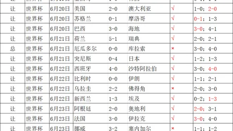 开云网站 093104 8