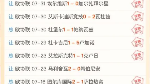 开云网站 101355 0